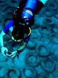Artificial Reefs made from Old Tires &ndash; A Bad Idea