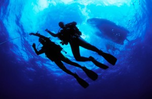 Costa Rica scuba diving and padi certification courses