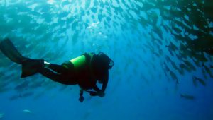 scuba diving on the atlantic coast of Costa Rica