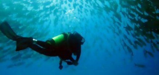 Scuba Diving in Costa Rica