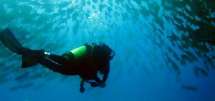 Scuba Diving in Costa Rica