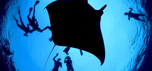 Scuba diving at the Bat Islands, Costa Rica