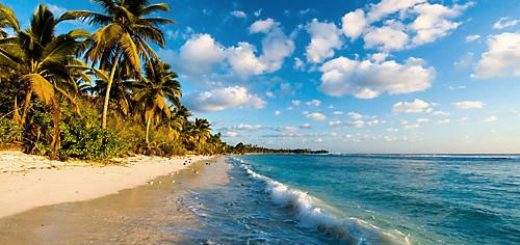 Scuba Diving Cocos Island in Costa Rica