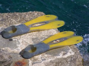 Scuba Diving Equipment