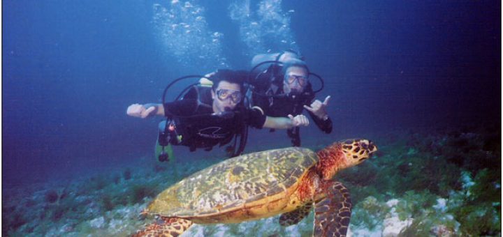 Scuba Diving Packages Costa Rica