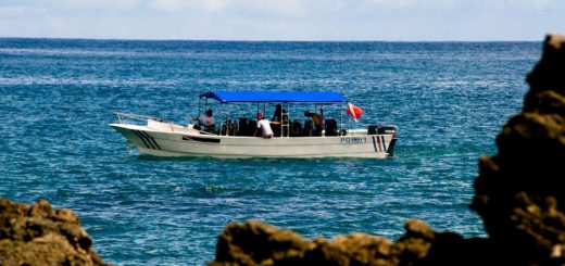 Uvita Scuba Diving with Mad About Diving