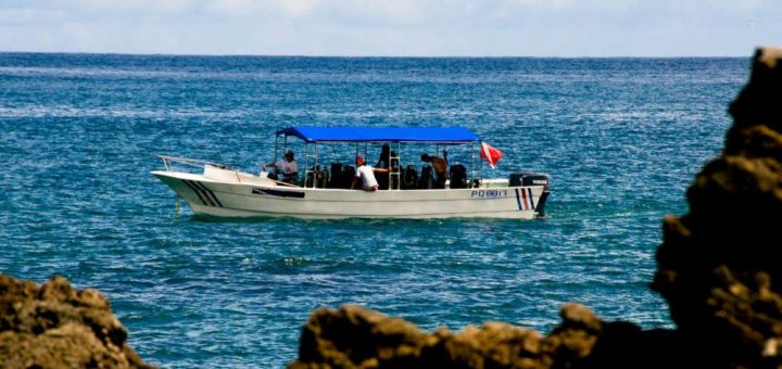 Uvita Scuba Diving with Mad About Diving