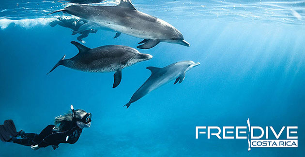 Costarica Freediving