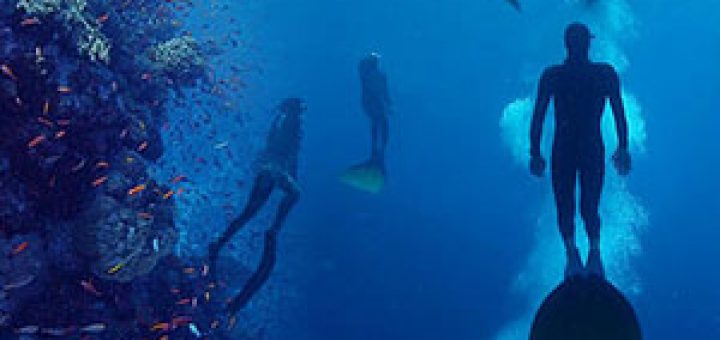 Freedive Costa Rica