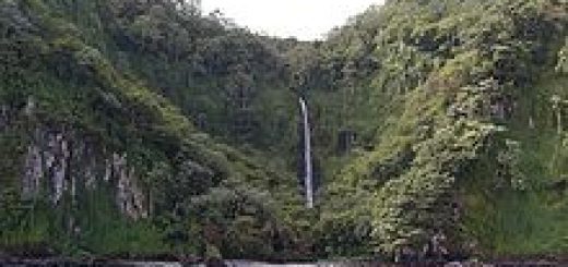 Cocos Island National Park