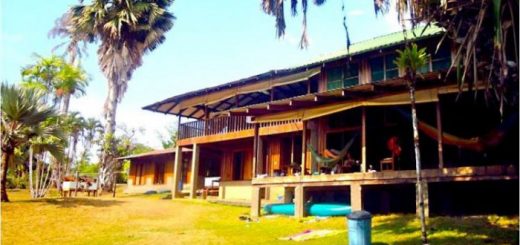 Jungla-del-Jaguar-Hostel