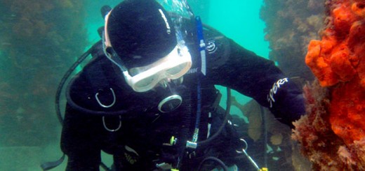 Yoga for Scuba Diving
