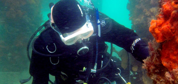 Yoga for Scuba Diving