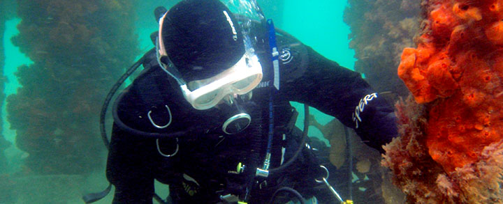 Yoga for Scuba Diving