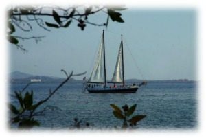 antares-sailing-tamarindo