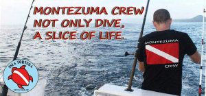 6155f9_9bf904c4cffe4313b79126d8f2ccf341-jpg_srz_920_428_85_22_0-50_1-20_0-00_jpg_srz