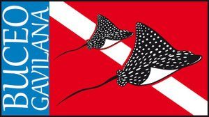 7a0db1a557-543517_272590066209482_500599993_n1