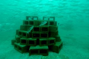 artifical-reef-hermosa-19