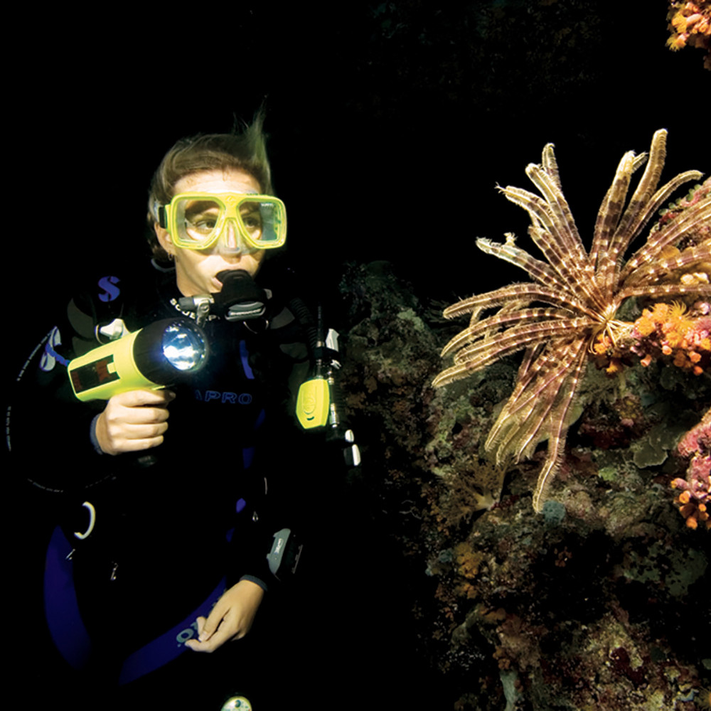 Photo courtesy from Squalo Divers